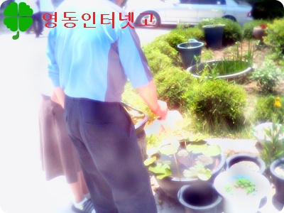 크게보기