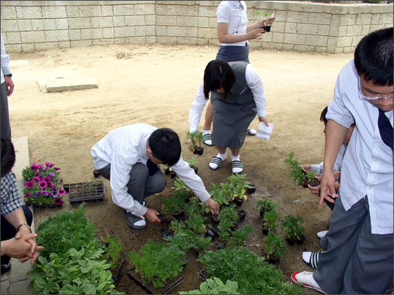 크게보기