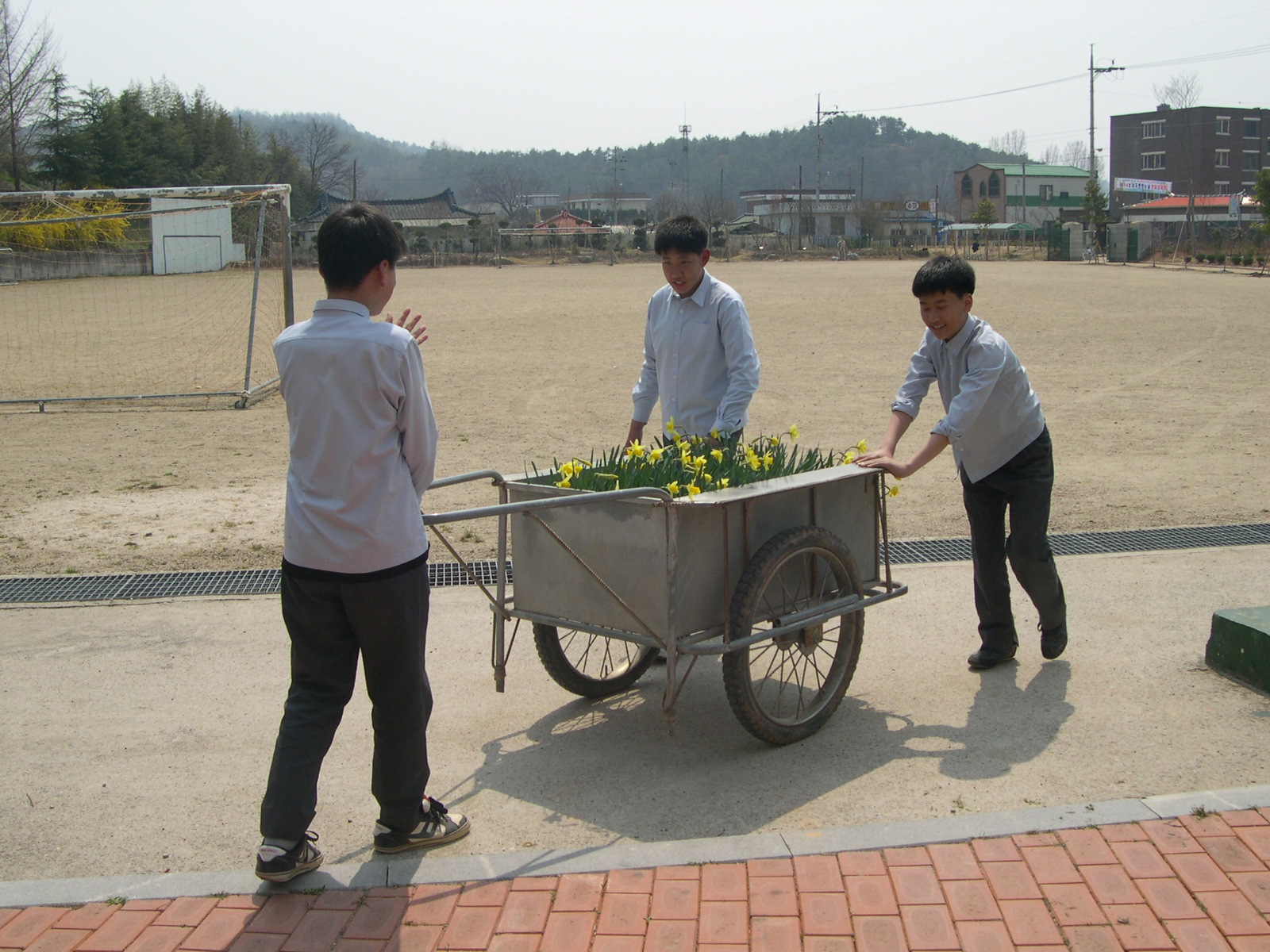 크게보기