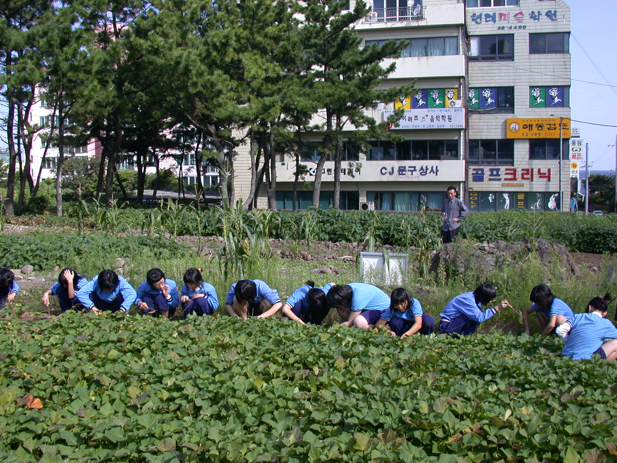 크게보기