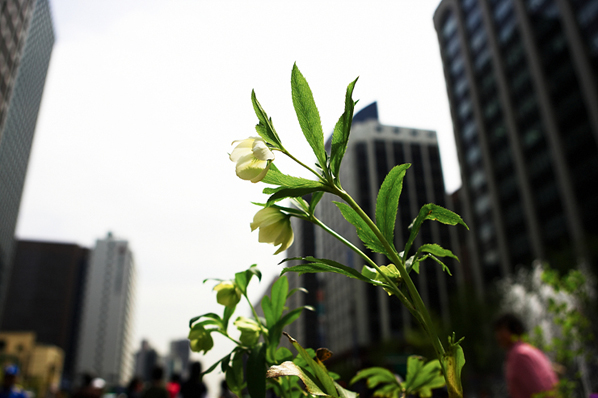 크게보기