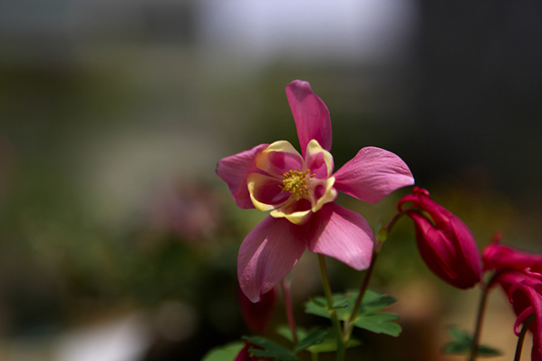 크게보기