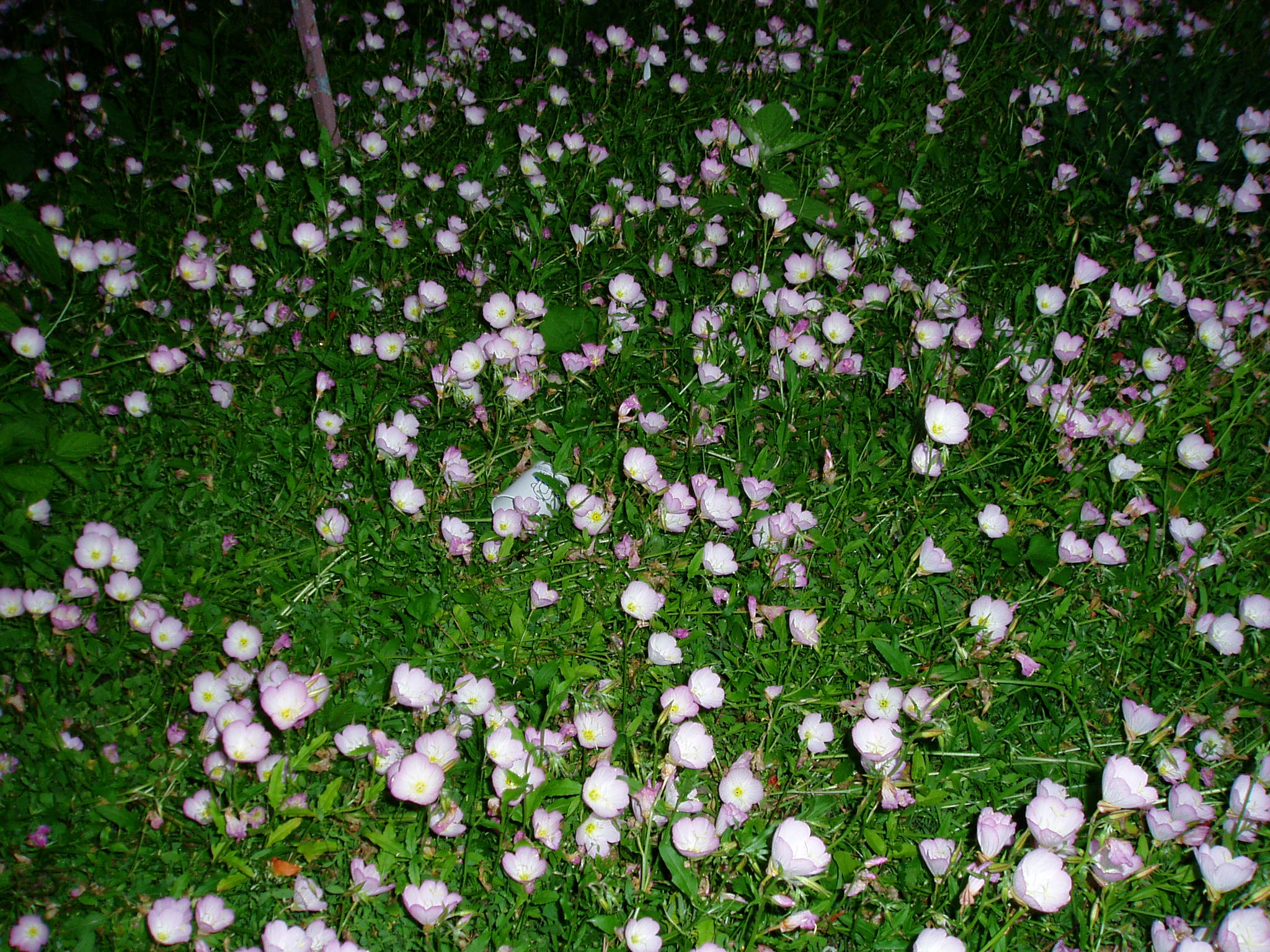 크게보기