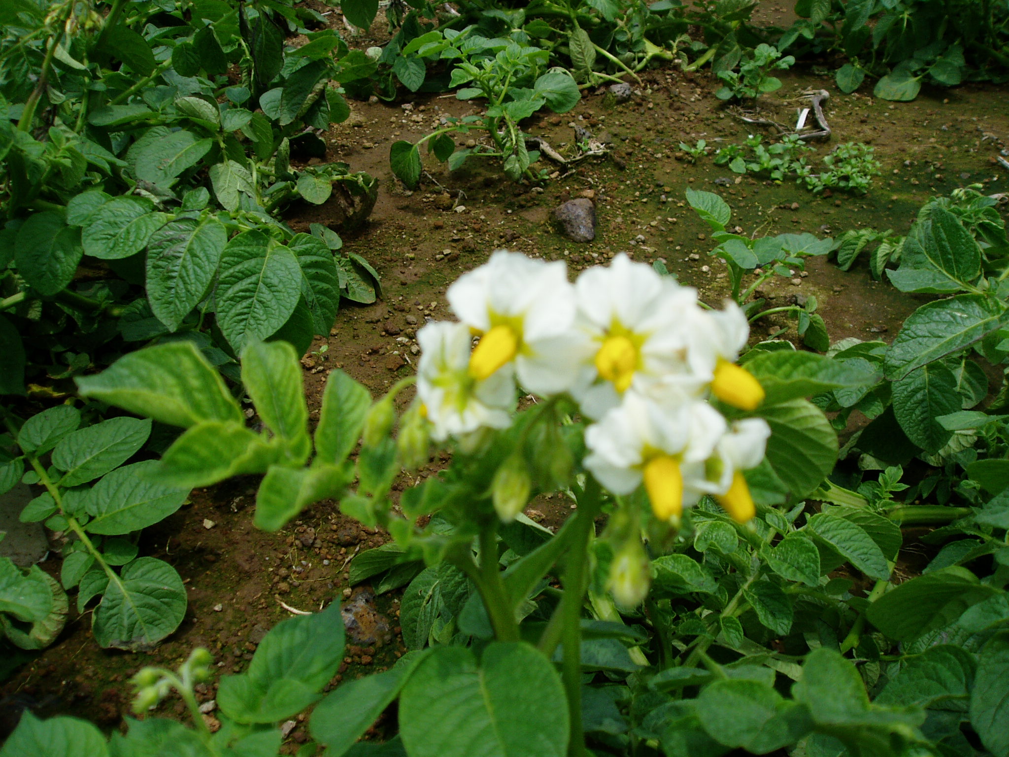크게보기