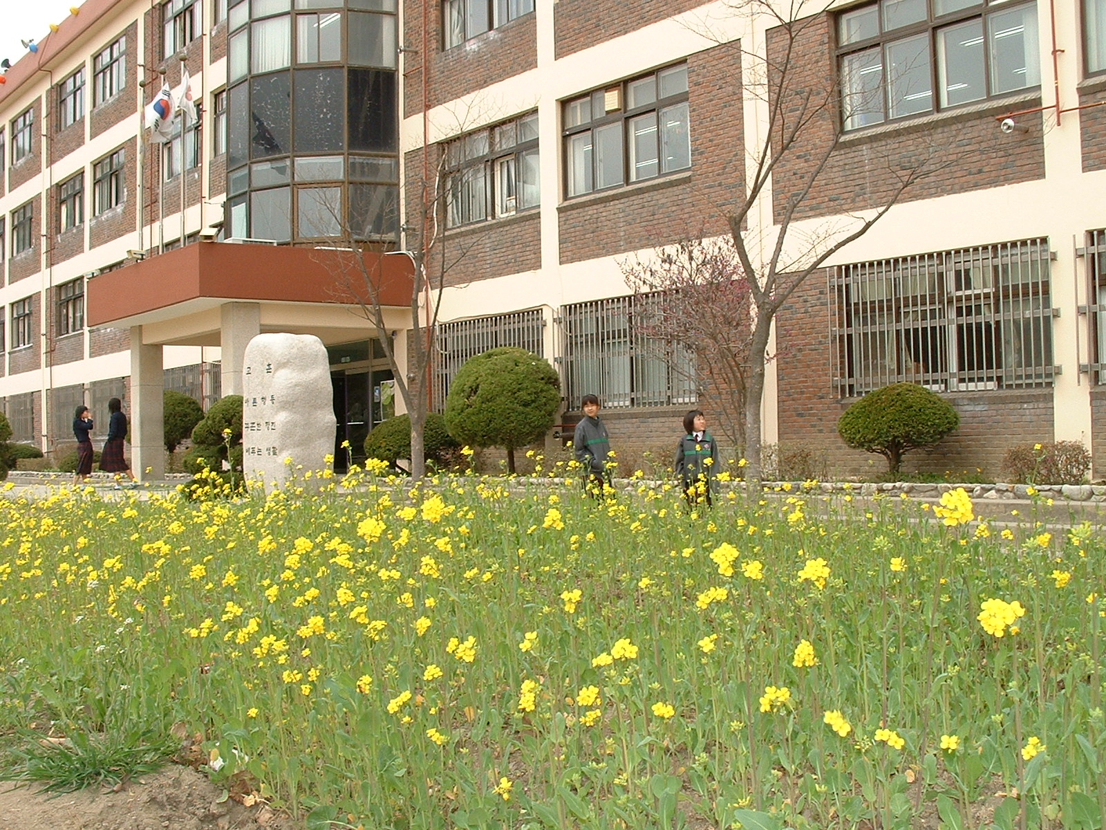 크게보기