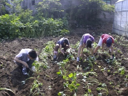 크게보기