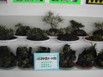 크게보기