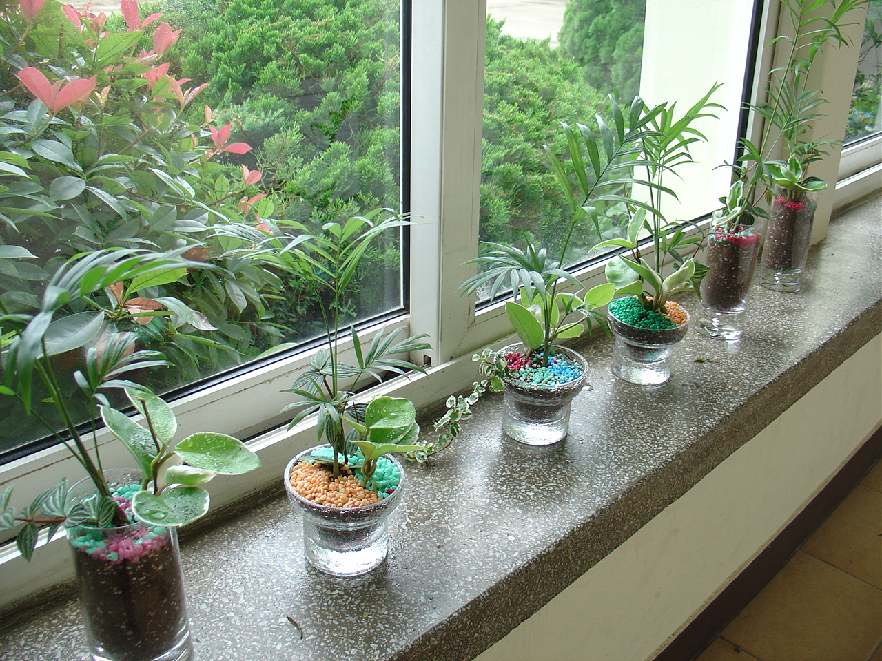 크게보기