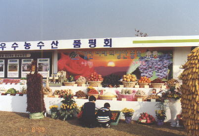 크게보기