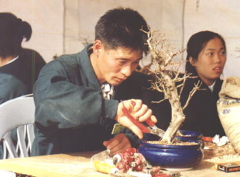크게보기