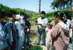 크게보기
